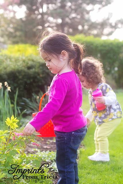 IMG_9929web-2